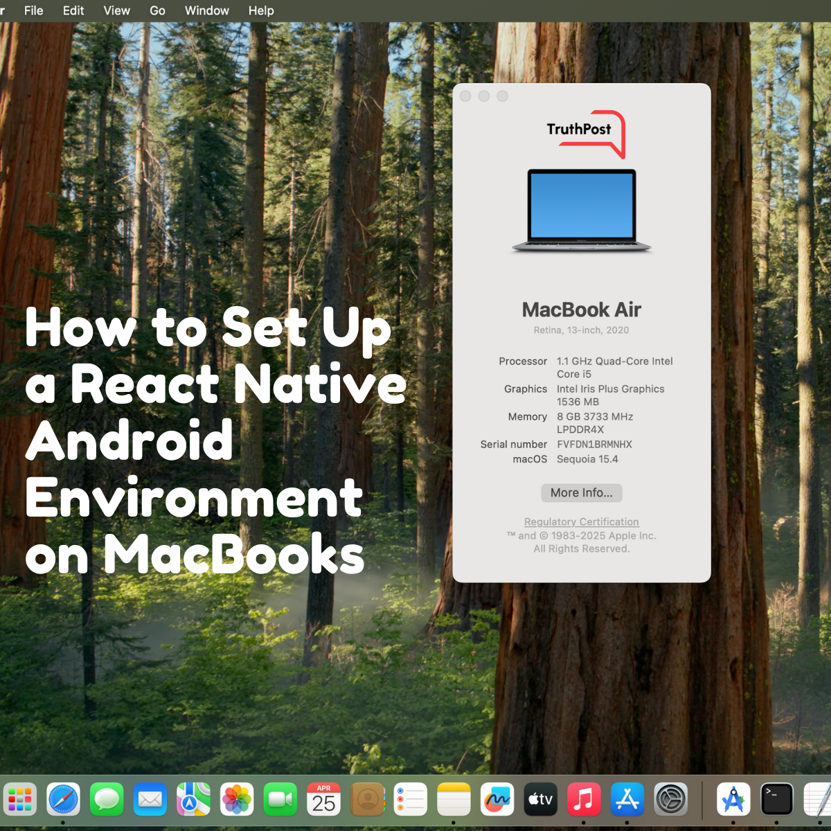 How to Set Up a React Native Android Environment on MacBooks
