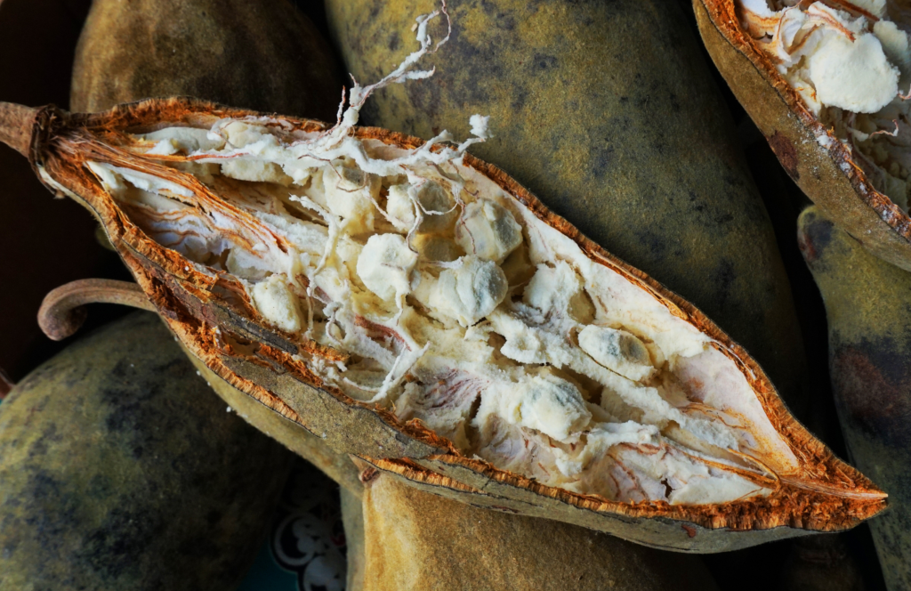 African Foods Boost Immunity Naturally